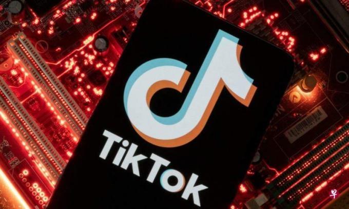 TikTokݱɾӢ¼Ƭ Ա